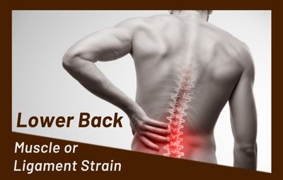treat lower back pain physical therapy at first class physical therapy passaic nj